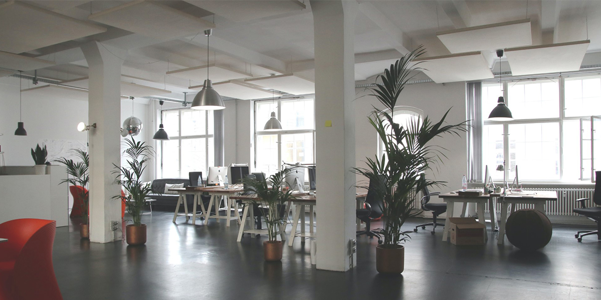 Create An Optimised Work Environment For Your Workforce With Drop Ceiling & Wall Acoustics